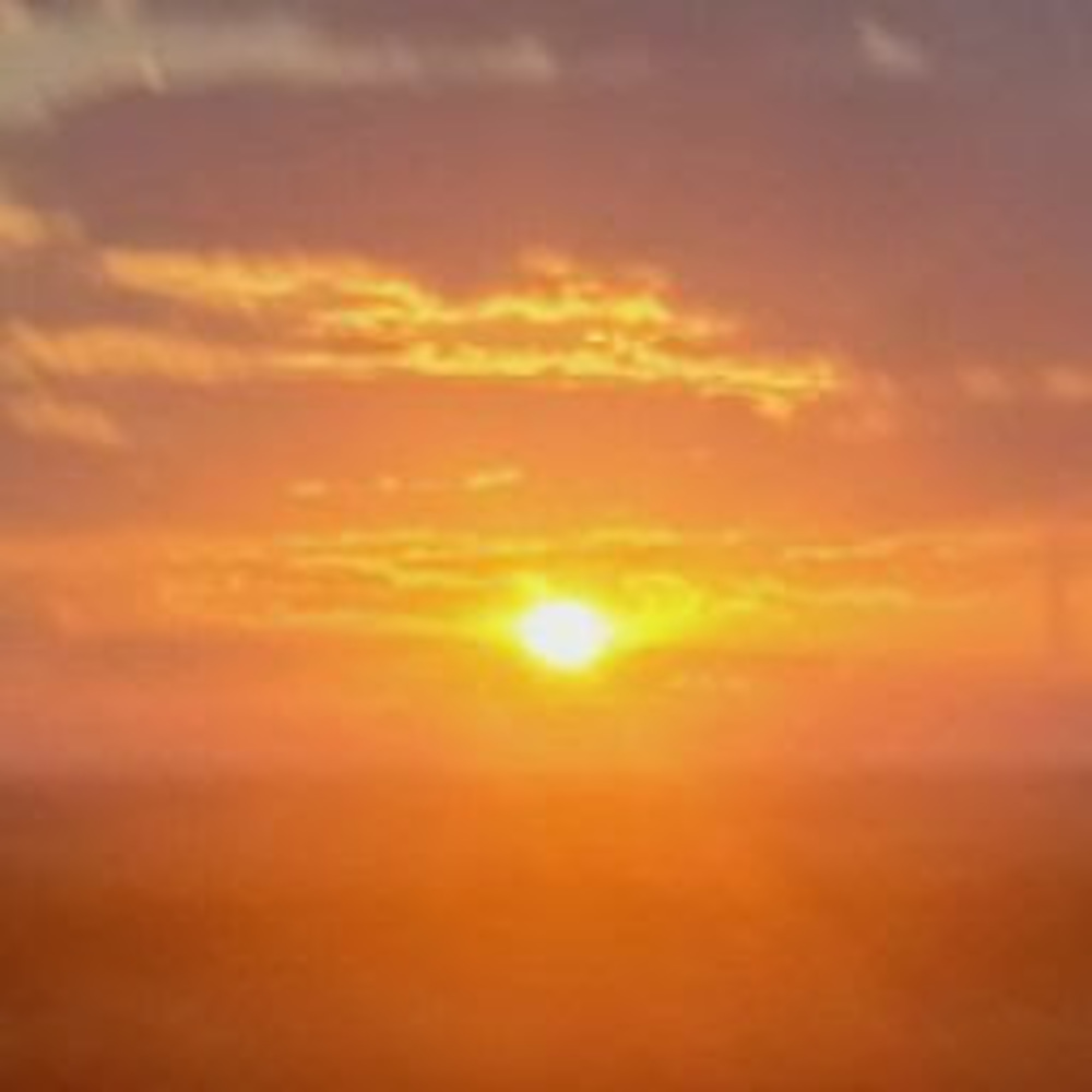 Meet your Posher, Adaia